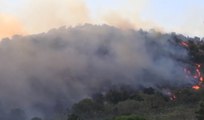 Altofonte (PA) - Vasto incendio boschivo (31.08.20)
