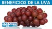 8 propiedades y beneficios de la uva | QueApetito