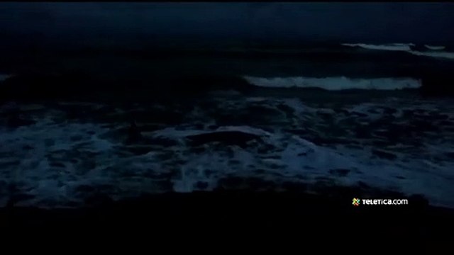 ext-delfin-encallado-310820