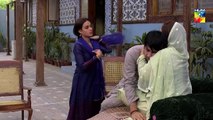 Ranjha Ranjha Kardi Episode 20 HUM TV Drama
