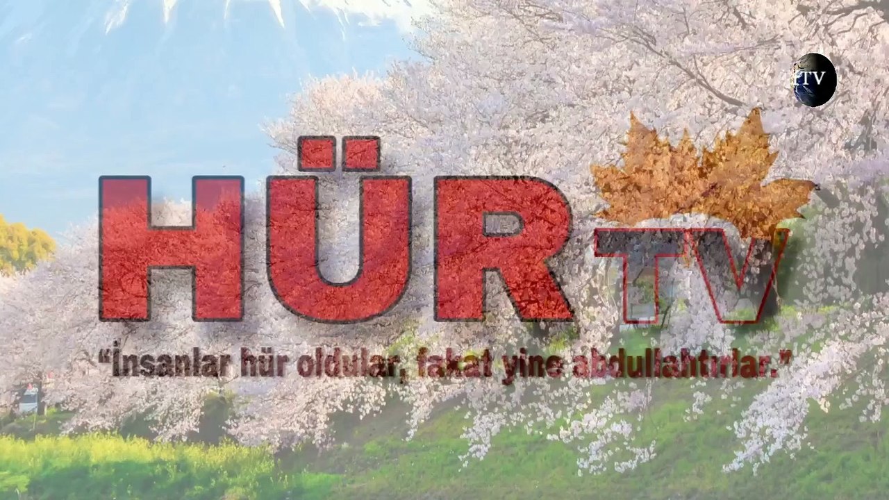 Kâinat bir kitap, her ağaç bir kelimedir...
