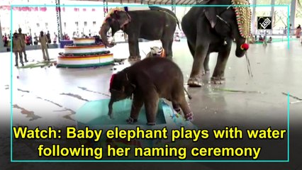 Watch: Baby elephant plays with water following her naming ceremony in Dakshina Kannada