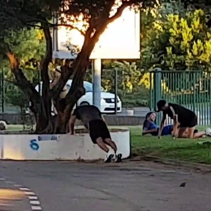 En attendant la reprise...toujours confinés!