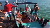 Tiburón ballena, esperanza de idílica isla mexicana golpeada por covid-19