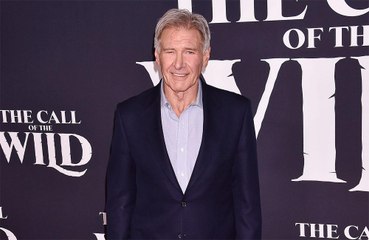 Harrison Ford: Chadwick Boseman was an inspiration and a hero