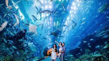 Aquarium Bed! Top 10 Unbelievably Cool Aquariums