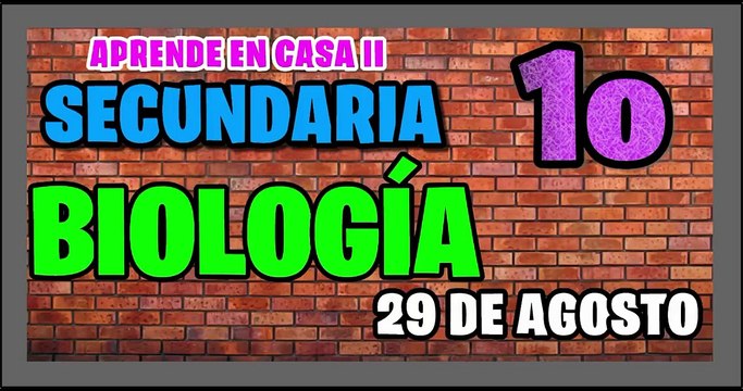 ✨✅⭐ Aprende en Casa II | Secundaria | 1er Grado | CIENCIAS Y TECNOLOGÍA BIOLOGÍA | 31 de Agosto 2020