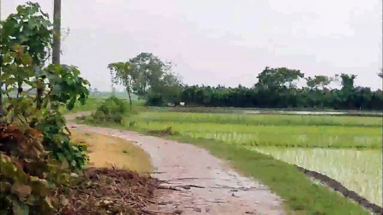 বষায় গ্রাম বাংলার মাঠ ও আঁকাবাঁকা পথ সবকিছুই প্রাকৃতিক দেখলে চোখ জুড়িয়ে যায়