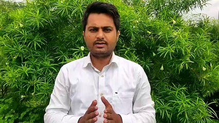 फाइव ईयर लॉ कॉलेज की फीस कम करने की मांग