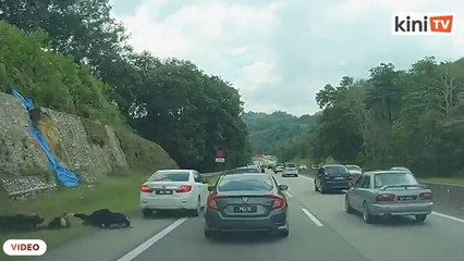 Suspek langgar lari di lorong kecemasan ditahan