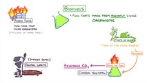 Physics - Biofuels #12