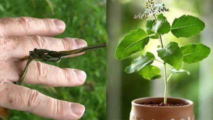 Pitru Paksha 2020: श्राद्ध में इन चीजों के बिना अधूरी है पितृ पूजा, नहीं होगा कल्याण | Boldsky