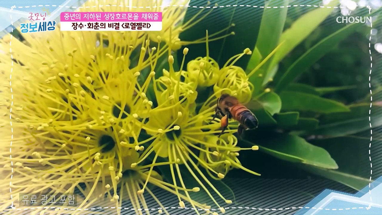 ❛□□□□❜ 장수·회춘의 비결 ⊙⊙!