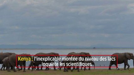 Kenya : l'inexplicable montée du niveau des lacs inquiète les scientifiques