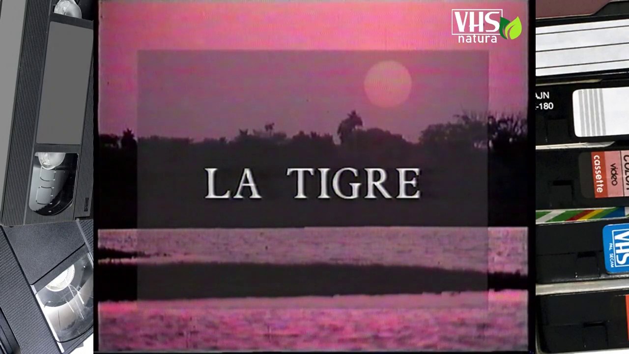 LA TIGRE