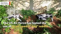 These robot 'dogs' may end up guarding US military bases