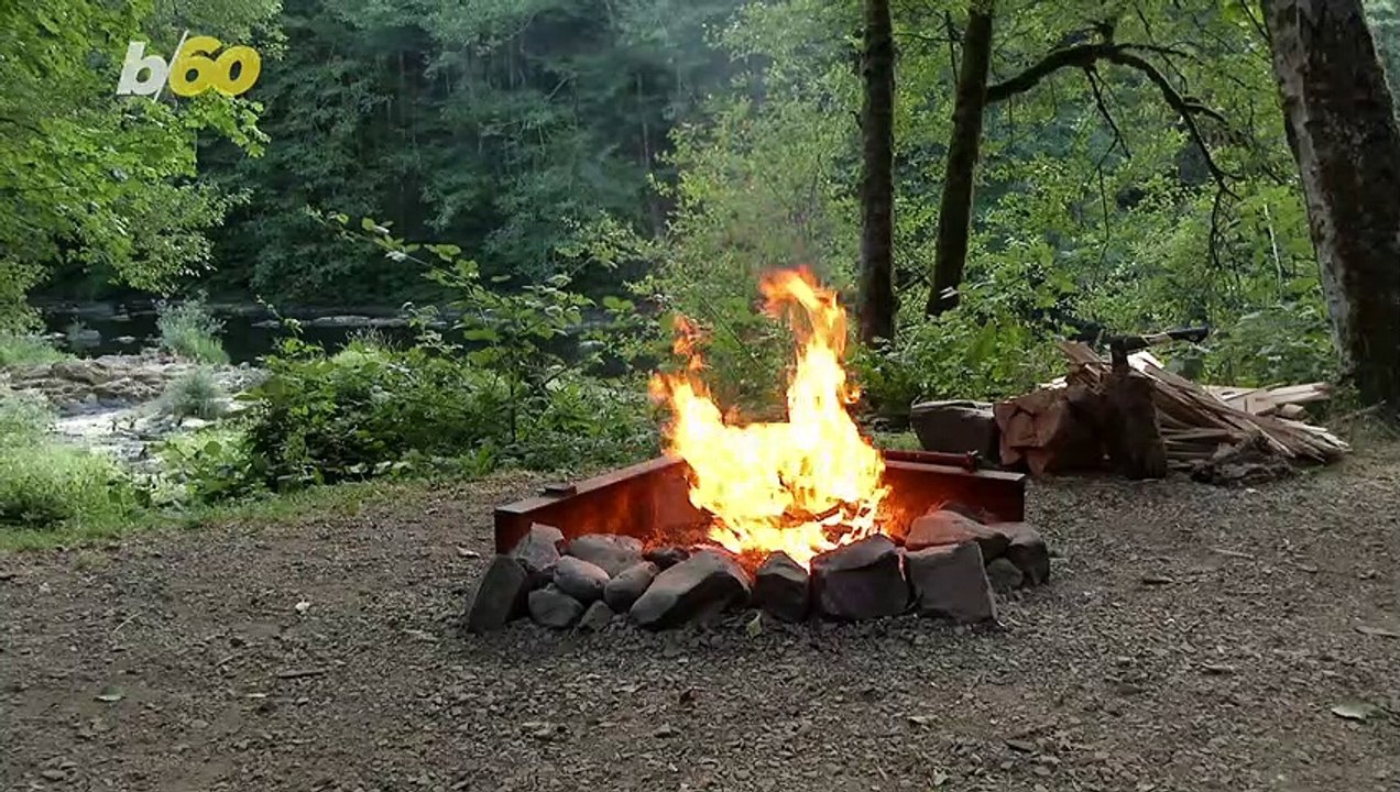 Creative Uses for Dryer Lint! From Mulch to Campfires and So Much More!