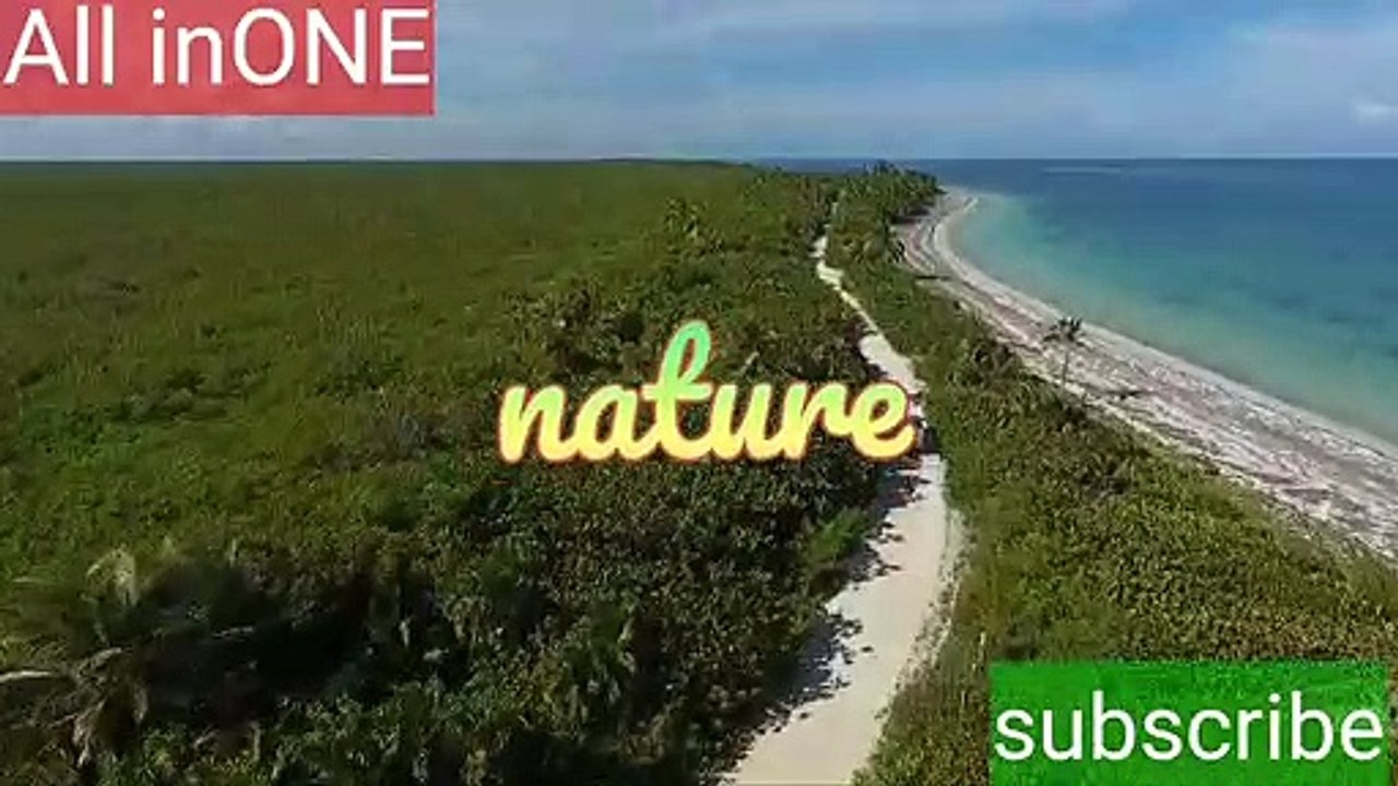 dntu comedy