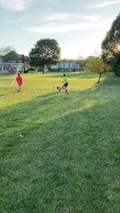 Playing Pup Gets Caught in Net