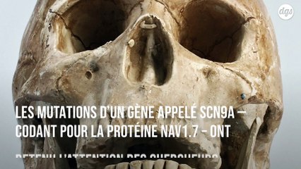 Un gène issu de néandertal serait responsable d'une sensibilité accrue à la douleur chez l’Homme moderne