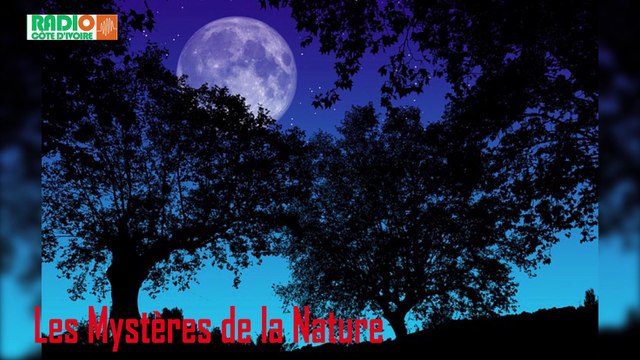 Les Mystères de la Nature du 31 Août 2020/ Visibilité de la lune , les bonnes dates du Mois de septembre par Maître Bamba et Abou Philo