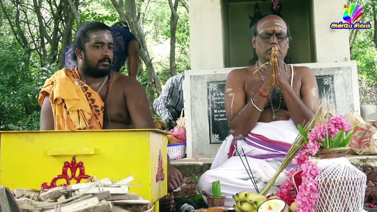 Rahu kethu peyarchi special poojai