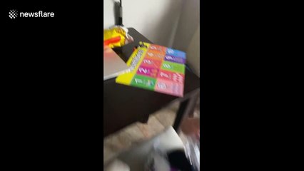 'My mouth is hot': US twins mistakenly eat spicy chips