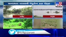 Gujarat farmers in trouble after heavy rains destroy crops