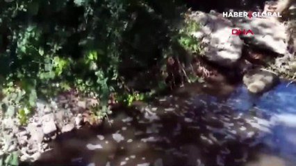 Renk değiştirip köpüren dere çevre halkını korkuttu