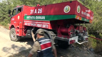 Hatay'da orman yangını: 3 hektar alan zarar gördü