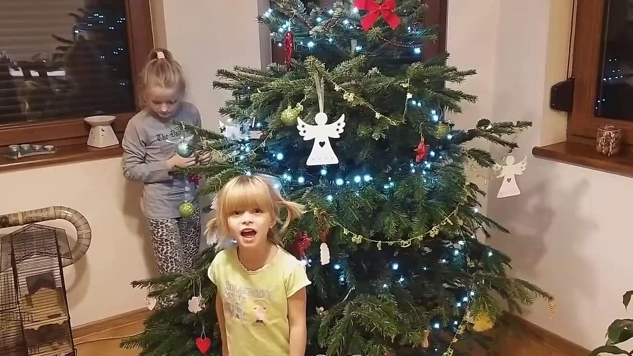 Sophia Isabella Árvore de Natal