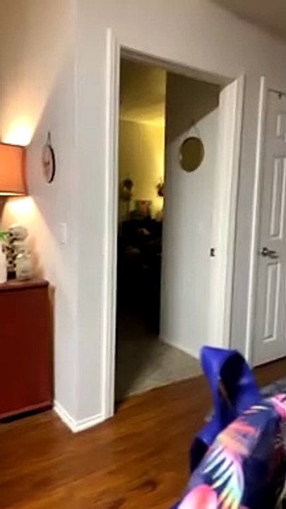 Kitty Shows off Its Legs