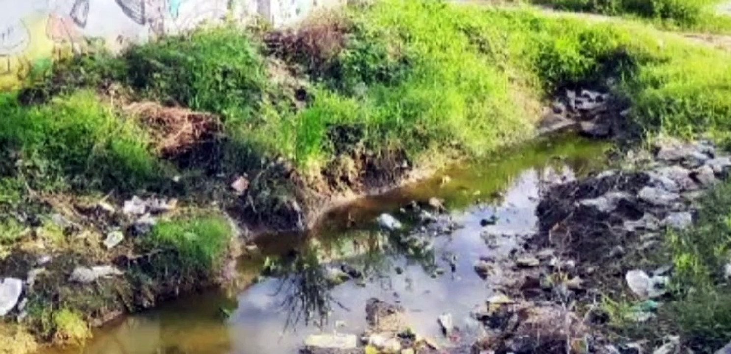 तालाबों की नहीं हो रही साफ-सफाई, जनता को हो रही परेशानी
