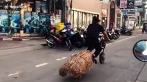 Ce motard est un gros fan d'Harry Potter... moto à balai