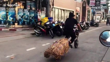 Ce motard est un gros fan d'Harry Potter... moto à balai
