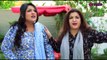 Pakistani Drama Serial Hum Sab Ajeeb Se Hain | Episode 19 | Minal khan Hina Dilpazeer