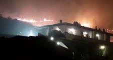Lipari (ME) - Incendi a Quattropani e Monte Sant'Angelo (01.09.20)