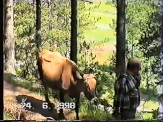 DAN BICAKU_Balleja e Madhe Vend i Bekuar_pjesa 1