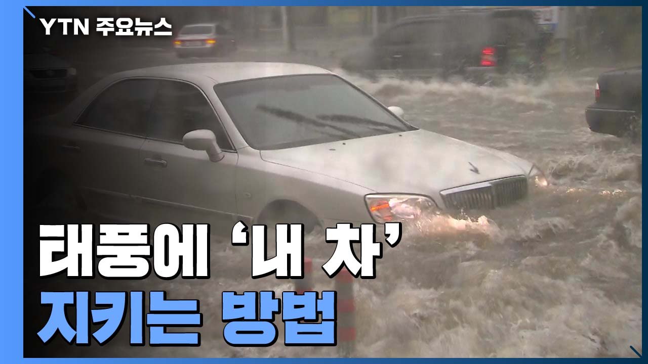 초강력 비바람 '마이삭'...내 자동차 이렇게 지킨다! / YTN