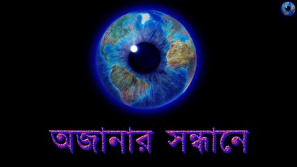 Future Technology 2050