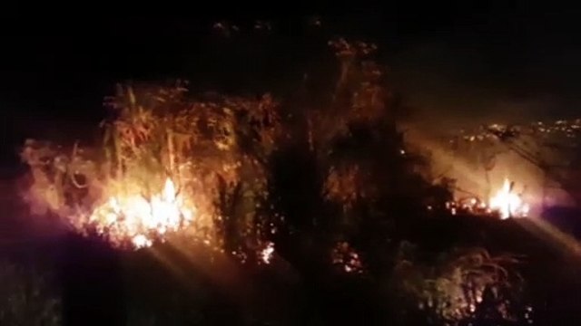 Bombeiros combatem incêndio ambiental às margens da BR-277