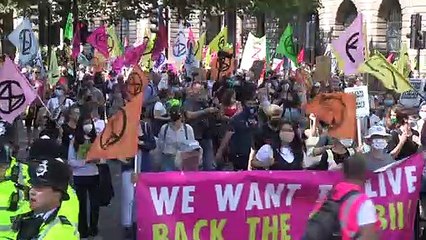 Protestos pelo meio ambiente