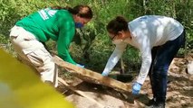 Encuentran fosa con cuatro cadáveres en las afueras de Culiacán