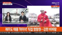 제주도 태풍 '마이삭' 직접 영향권…강한 비바람