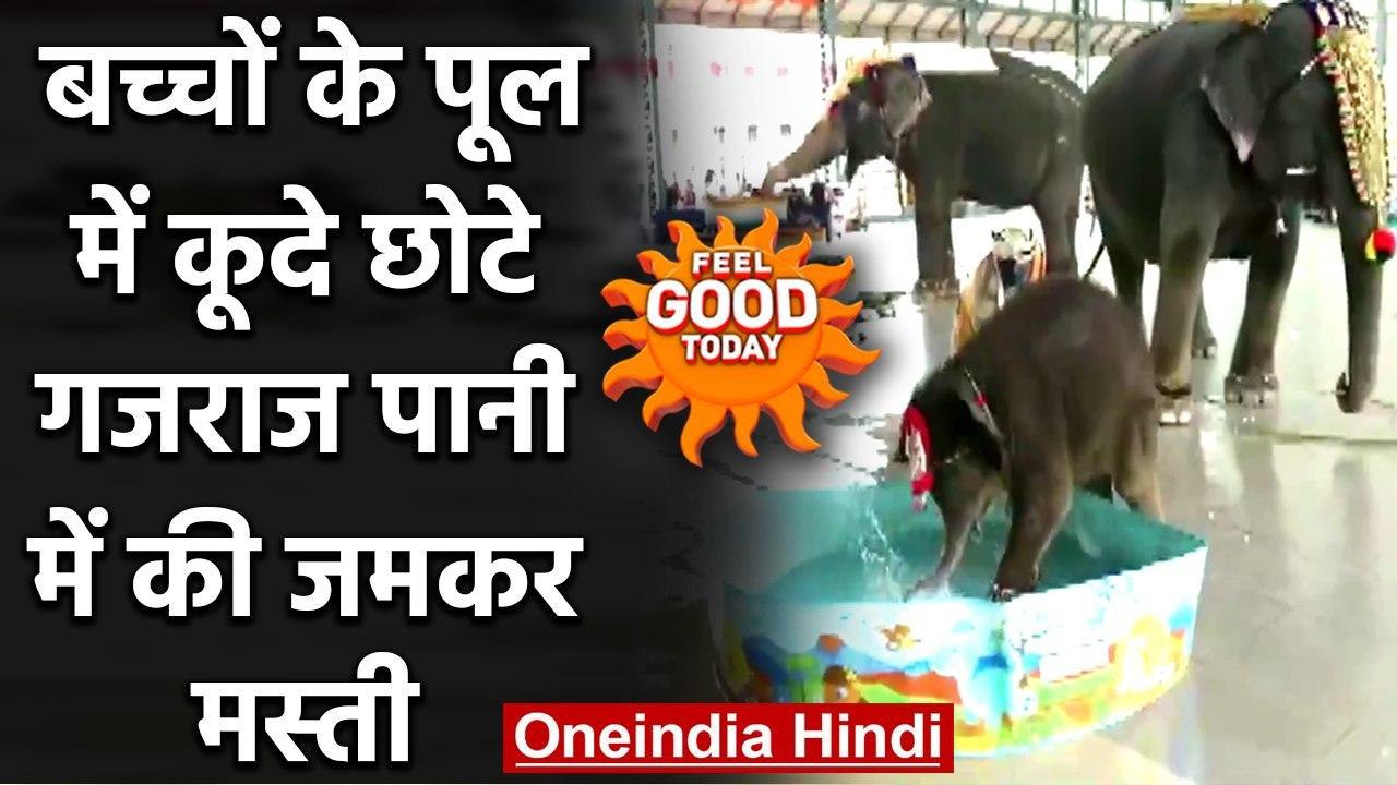 Feel Good Today : बच्चों के पानी के पूल में छोटे गजराज ने की जमकर मस्ती, Viral Video। वनइंडिया हिंदी