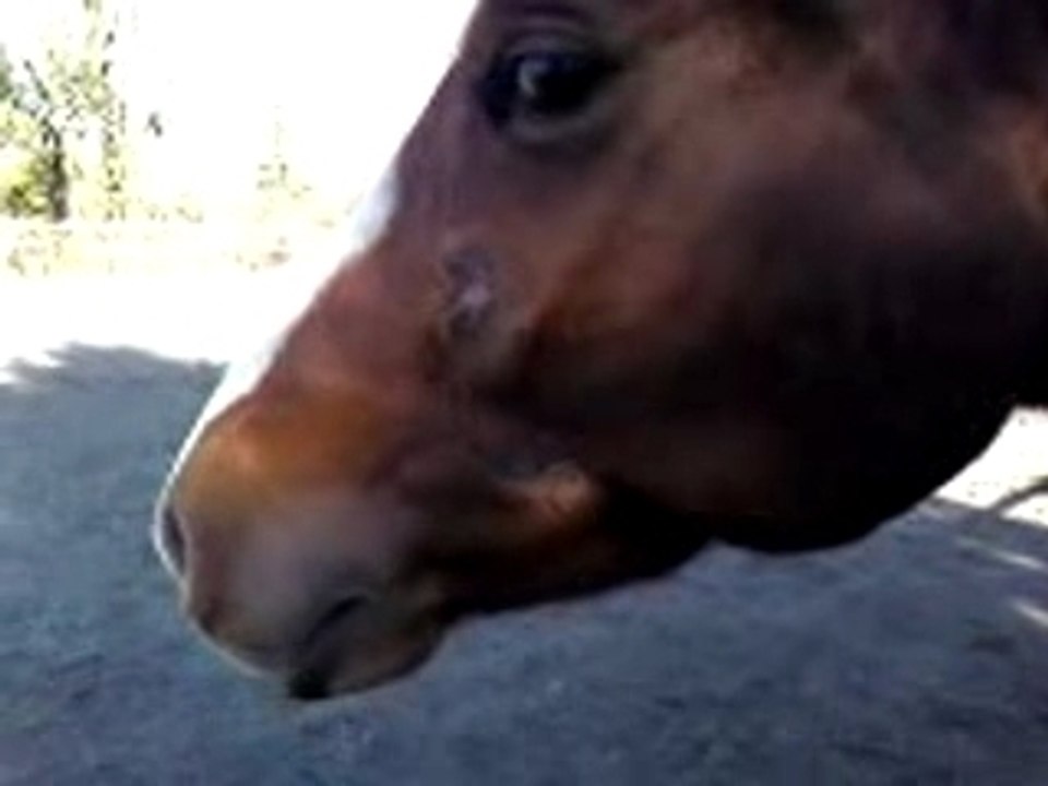 Vidéo0001