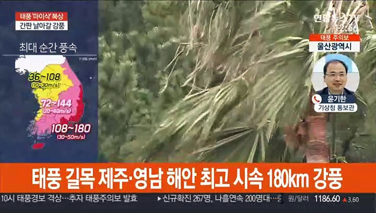 올해 첫 관통 태풍…내일 오전까지 최대 고비