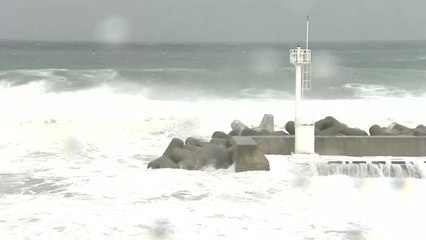 [날씨] 태풍 '마이삭' 오른쪽 부산 전역·앞바다 태풍주의보 / YTN