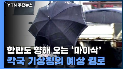 [앵커리포트] 각국 기상청이 예측한 태풍 '마이삭'의 이동 경로 / YTN