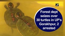 Forest dept seizes over 30 turtles in UP’s Gorakhpur, two arrested